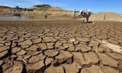 العراق يسعى للحصول على تمويل دولي لمكافحة التصحر وتداعيات التغير المناخي